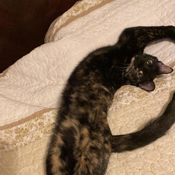 kaylabamajama
